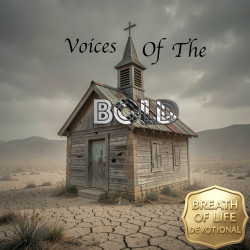 Voices Of The Bold Choir