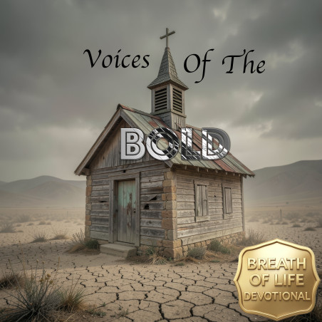 Voices Of The Bold Choir