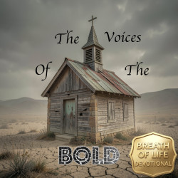 The Voices Of The Bold Choir