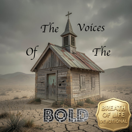 The Voices Of The Bold Choir